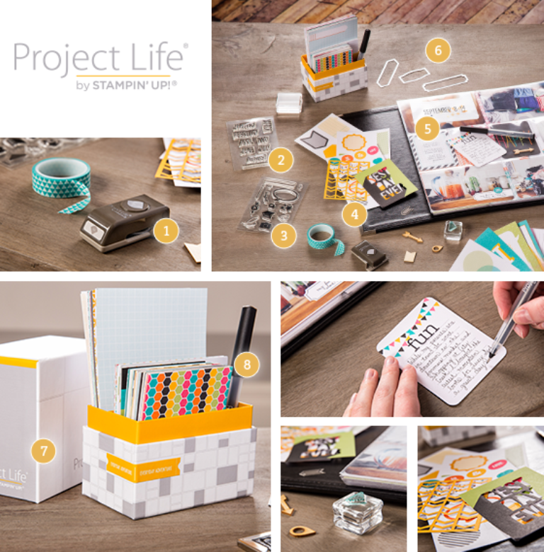 Project Life Products